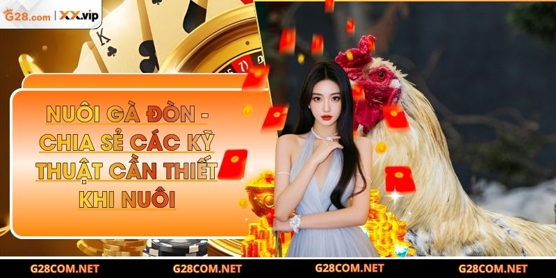 Nuôi gà đòn